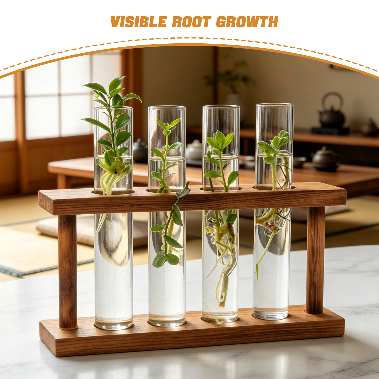 Drewniana stojak do rozmnażani – Propagation Station Vase recenzja i cena